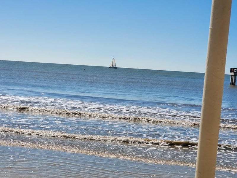 Handmade Mini Seaglass Birds on a branch with tiny pink shell flowers. Authentic Seaglass, Made in Maine, Small frame with glass. 3 1/2 by 4 inch framed art Sea Glass with pink shells - Image 5